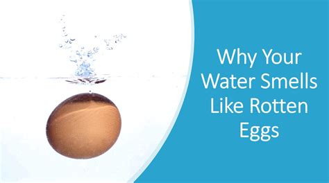 Water Smells Like Rotten Eggs Is It Safe | Detroit Chinatown - what is the smell of rotten eggs
