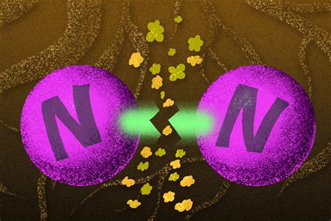 How metals work together to weaken hardy nitrogen-nitrogen bonds | MIT ...