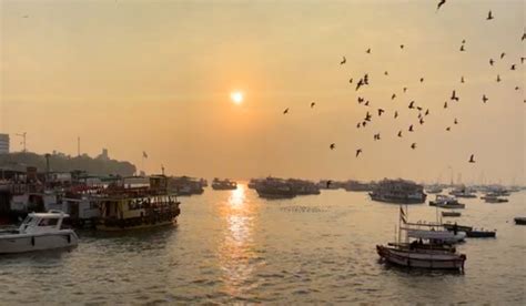 Mobile Cinematography: How Lenses Elevate Your Visual Storytelling ...