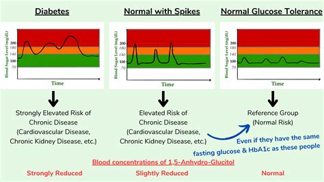 Blood Sugar Spikes - Q&A - Nourished by Science