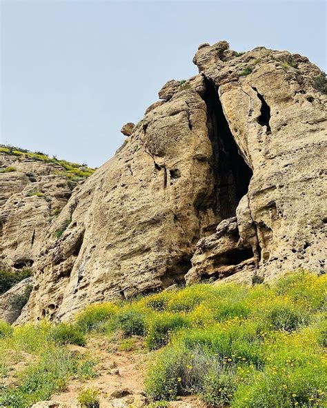 [CLOSED] The Cave of Munits w/ Terry Church {Pharmacy} — Peaks & Professors