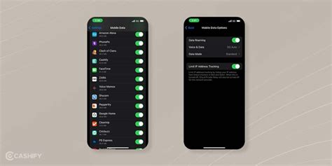 How To Use FaceTime Without WiFi On iPhone | Cashify Blog
