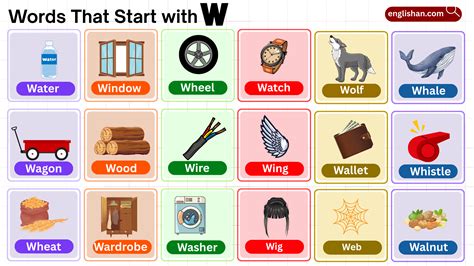 1210 Words That Start with W | Complete A to Z List