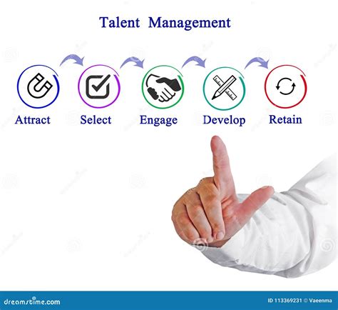 Talent Management 的图像结果