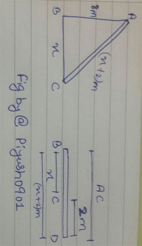 A ladder lies against a wall. The top of the ladder reaches 8 feet ...