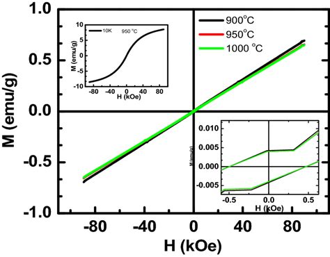 Magnetization 的图像结果