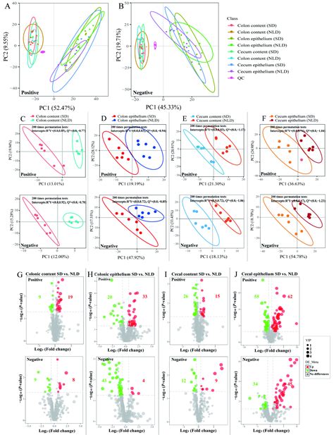 The Short-Day Cycle Induces Intestinal Epithelial Purine Metabolism ...