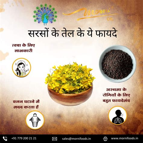 Morni Foods India Premium Products Useful Information | Best Cold ...