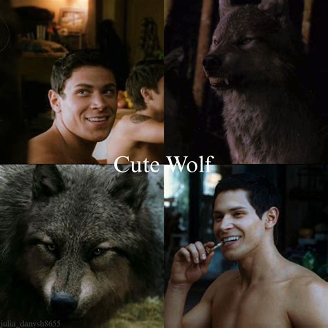 Paul Lahote cute wolf | Licantropo, Twilight, Libri