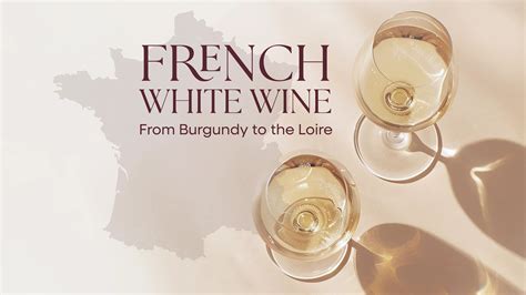 Does Champagne Expire? How to Keep It Fresh & Bubbly – Coravin UK