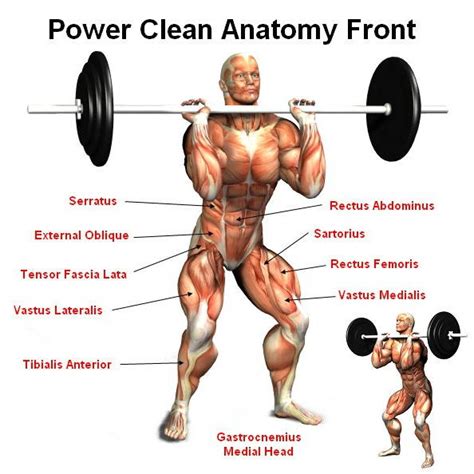 Image result for Power Clean Exercise