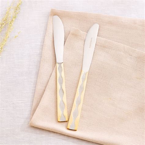 Buy Glister Beret Set of 2 Stainless Steel Dinner Knives from Home ...