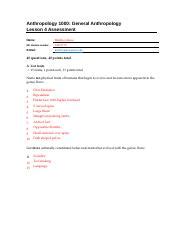 Anatomically Modern Humans 的图像结果