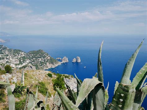 What Is Tequila Made From & How Is It Made?