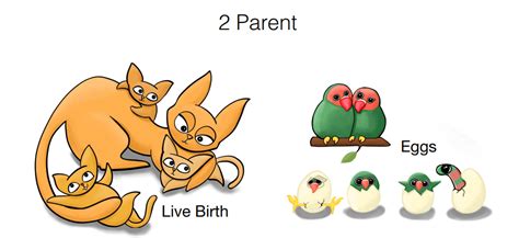 Reproduction: Definition, Meaning, and Types