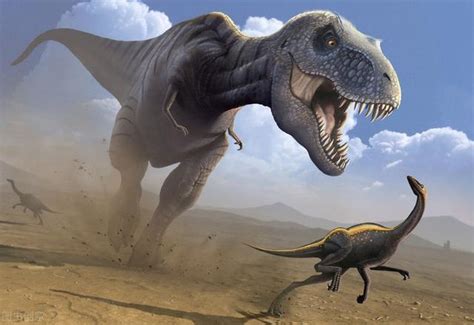 在白垩纪大灭绝事件中，随同恐龙灭绝和幸存下来的主要是哪些生物？ - 知乎