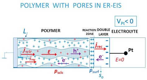 Measuring the Pores’ Structure in P3HT Organic Polymeric Semiconductor ...
