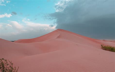 Download wallpaper 3840x2400 desert, hill, sand, dunes, bushes 4k ultra ...