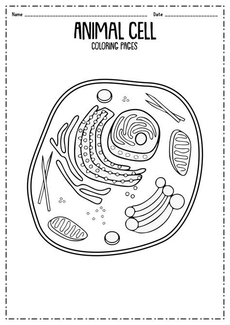 Animal Cell Coloring Page