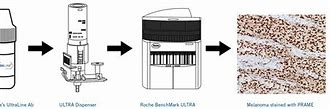 Image result for Roche Instruments