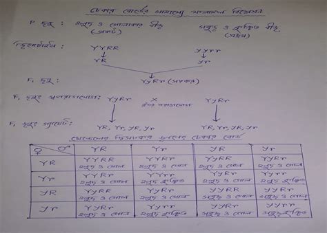 Image result for Model Activity Task Class 10th Part VIII Math