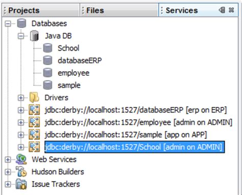 NetBeans Tutorial Java 的图像结果