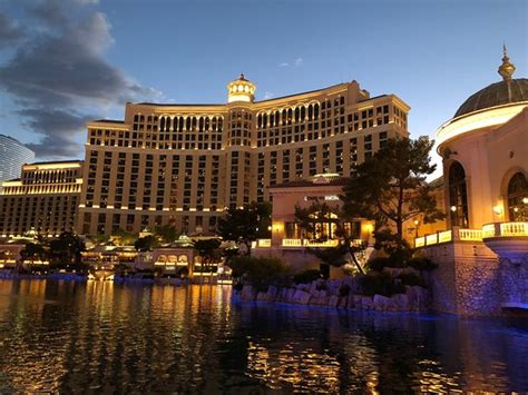 Table Games - Ivy the Star of the show - Reviews, Photos - Casino at ...