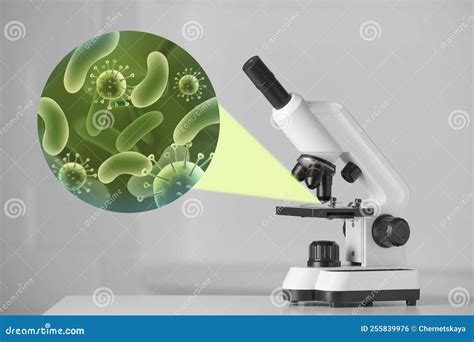 Examination of Sample with Germs and Bacteria Under Microscope in ...