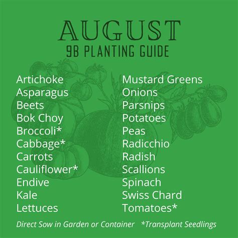 What To Plant In August Zone 9A at Mattie Delgado blog