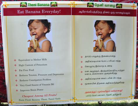 TNAU :: Training on Hightech Cultivation Practices for Banana