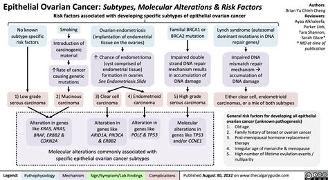 epithelial-ovarian-cancer-subtypes-molecular-alterations-risk-factors | Calgary GuideCalgary Guide