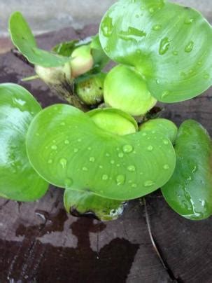 Image result for Full-Stack Developer Image Transparent