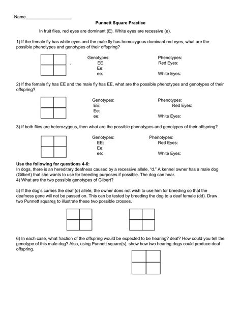 Punnett Square Practice Worksheet - Printable Coloring Free