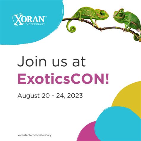 Zuercher Portal Clinton Iowa: The Local Resource You've Been Missing ...