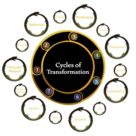 METHODOLOGY – Chrysalis
