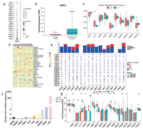 Multi-Omics Characterization of Genome-Wide Abnormal DNA Methylation ...