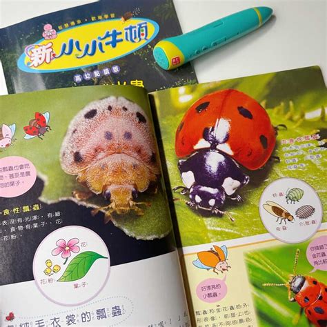 Bird Fly Worksheet 的图像结果