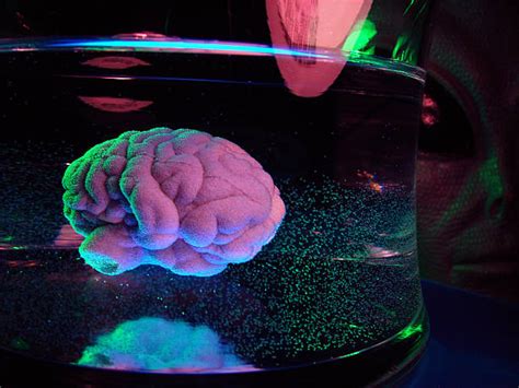 Image result for Alien Brainwashing