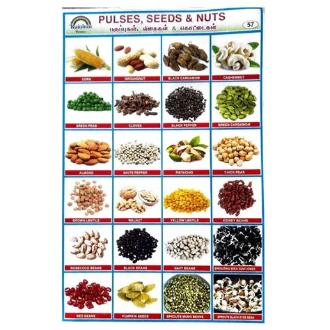 Pulses Seeds And Nuts School Project Chart Stickers