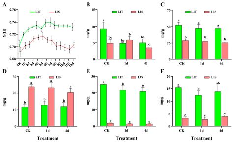 Investigating the Mechanisms Underlying the Low Irradiance-Tolerance of ...