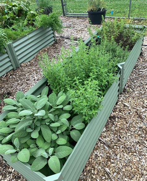 Maximize Your Narrow Garden Space - Creative Raised Bed Solutions ...