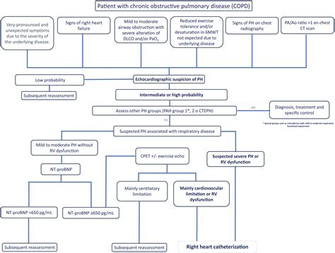 A Systematic Review and Expert Recommendation on the Diagnosis of Pulmonary Hypertension ...