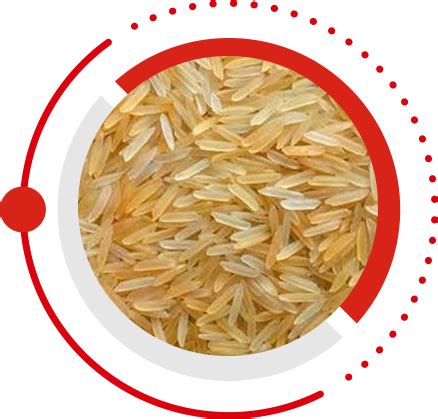 1121 GOLDEN SELLA BASMATI RICE