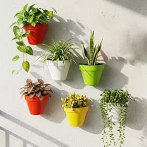 Go Hooked Wall Mounted Flower Pots for Home Décor Pack of 6 | Plastic ...