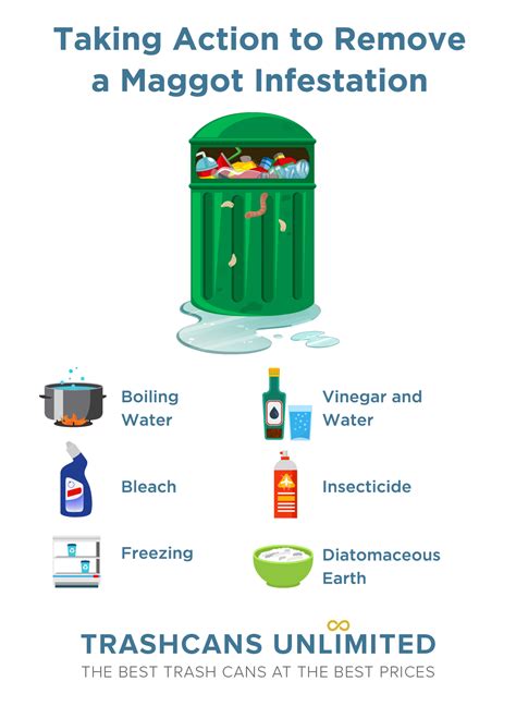 Maggots in Trash?: How to Easily Manage a Maggot Infestation in Your Trash Can - Trash Cans ...