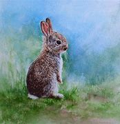 Image result for Baby Rabbit Art