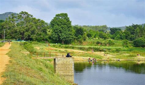 Nelligudde Kere, Bangalore | WhatsHot Bangalore