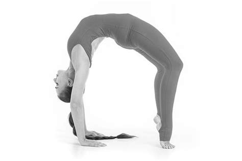 25 Best Chest Exercises for Building and Strengthening Muscle in 2024 ...