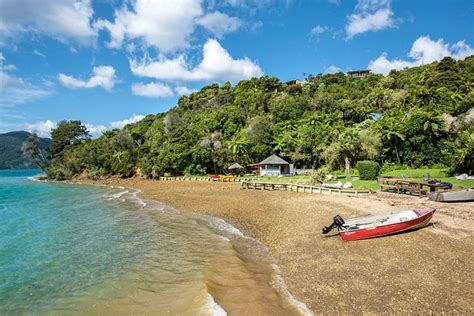 Punga Cove Resort Pool: Pictures & Reviews - Tripadvisor