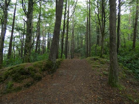 Nature Trail 的图像结果